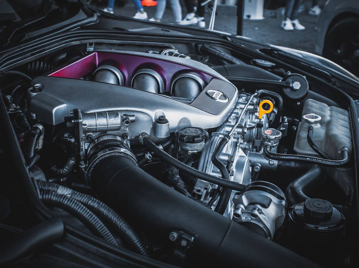 Rodent Treatment — AK Car Studio